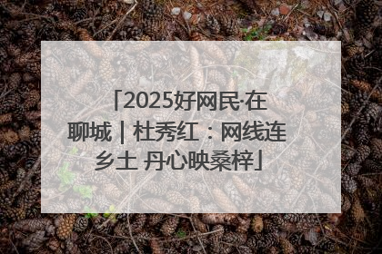 2025好网民·在聊城｜杜秀红：网线连乡土 丹心映桑梓