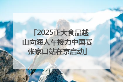 2025正大食品越山向海人车接力中国赛张家口站在京启动