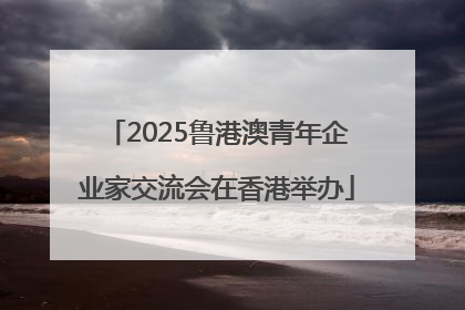 2025鲁港澳青年企业家交流会在香港举办