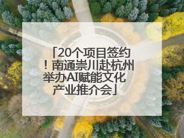 20个项目签约！南通崇川赴杭州举办AI赋能文化产业推介会