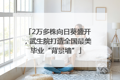2万多株向日葵盛开，武生院打造全国最美毕业“背景墙”