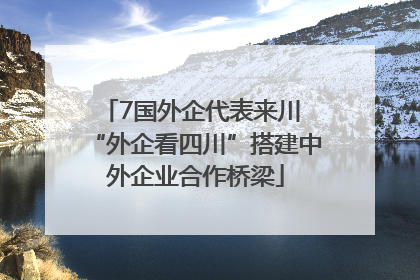 7国外企代表来川 “外企看四川”搭建中外企业合作桥梁