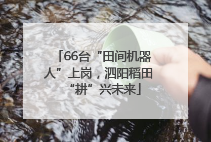 66台“田间机器人”上岗，泗阳稻田“耕”兴未来