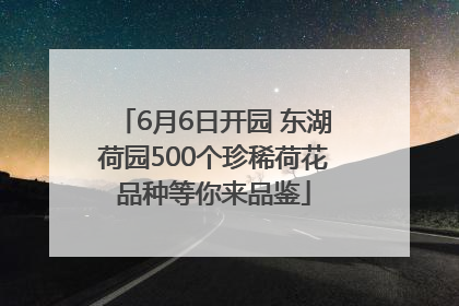 6月6日开园 东湖荷园500个珍稀荷花品种等你来品鉴