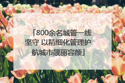 800余名城管一线坚守 以精细化管理护航城市靓丽容颜