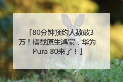 80分钟预约人数破3万！搭载原生鸿蒙，华为Pura 80来了！