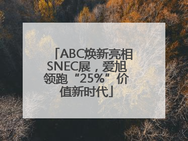 ABC焕新亮相SNEC展，爱旭领跑“25%”价值新时代