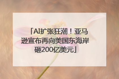 AI扩张狂潮！亚马逊宣布再向美国东海岸砸200亿美元