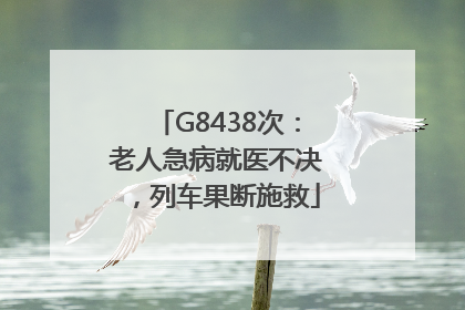 G8438次：老人急病就医不决，列车果断施救