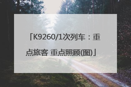 K9260/1次列车：重点旅客 重点照顾(图)